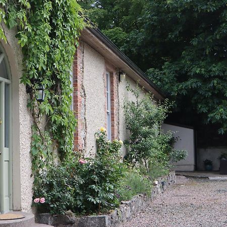 Millvale Cottage Cootehill Luaran gambar
