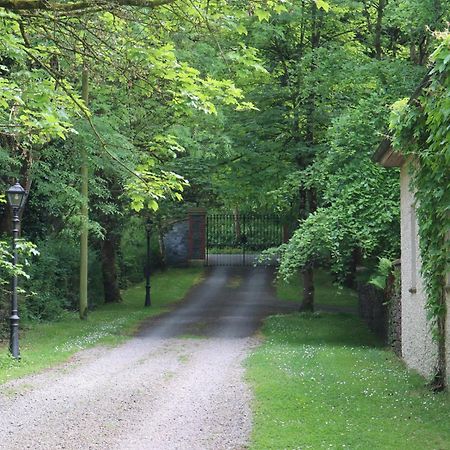 Millvale Cottage Cootehill Luaran gambar